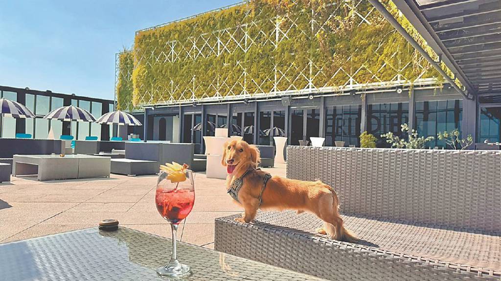 看準每年規模300億元寵物商機 李方艾美開放毛孩入住