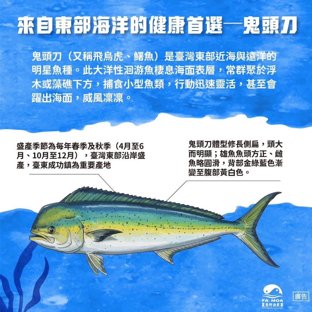 國產鬼頭刀躍上餐桌！鮮美營養永續高CP值海味首選