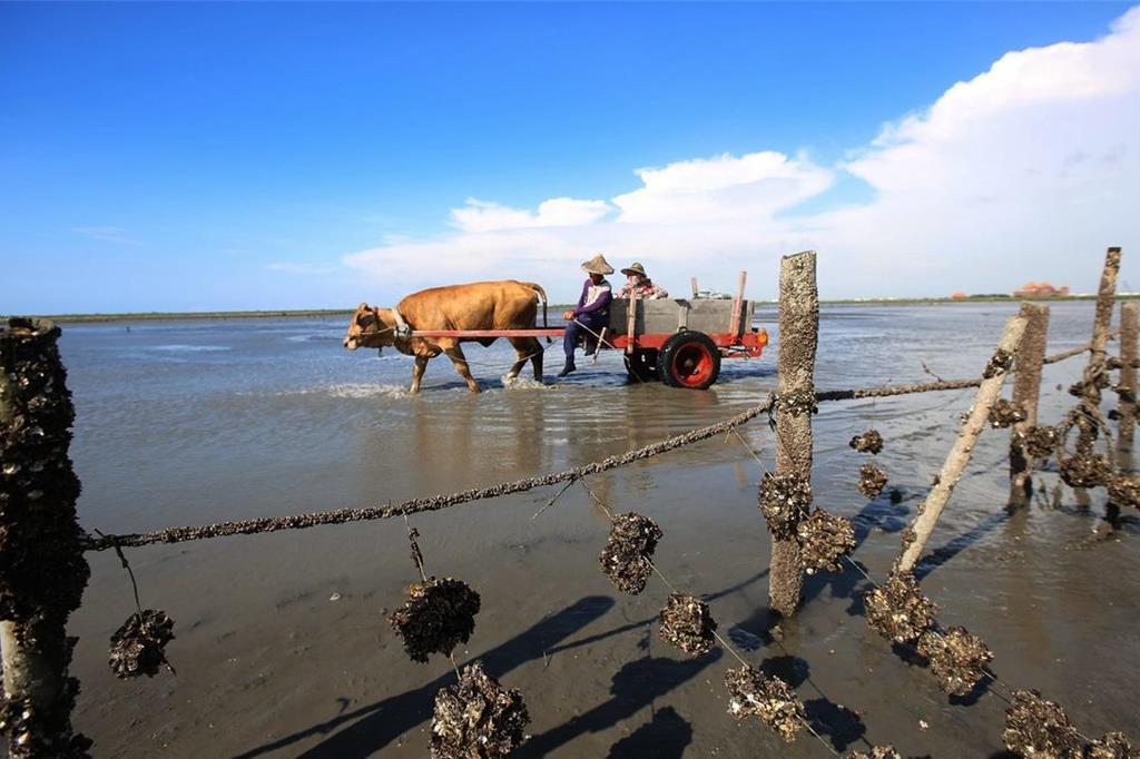 海牛校長魏清水辭世 王惠美頒褒揚狀 感念守護芳苑文化