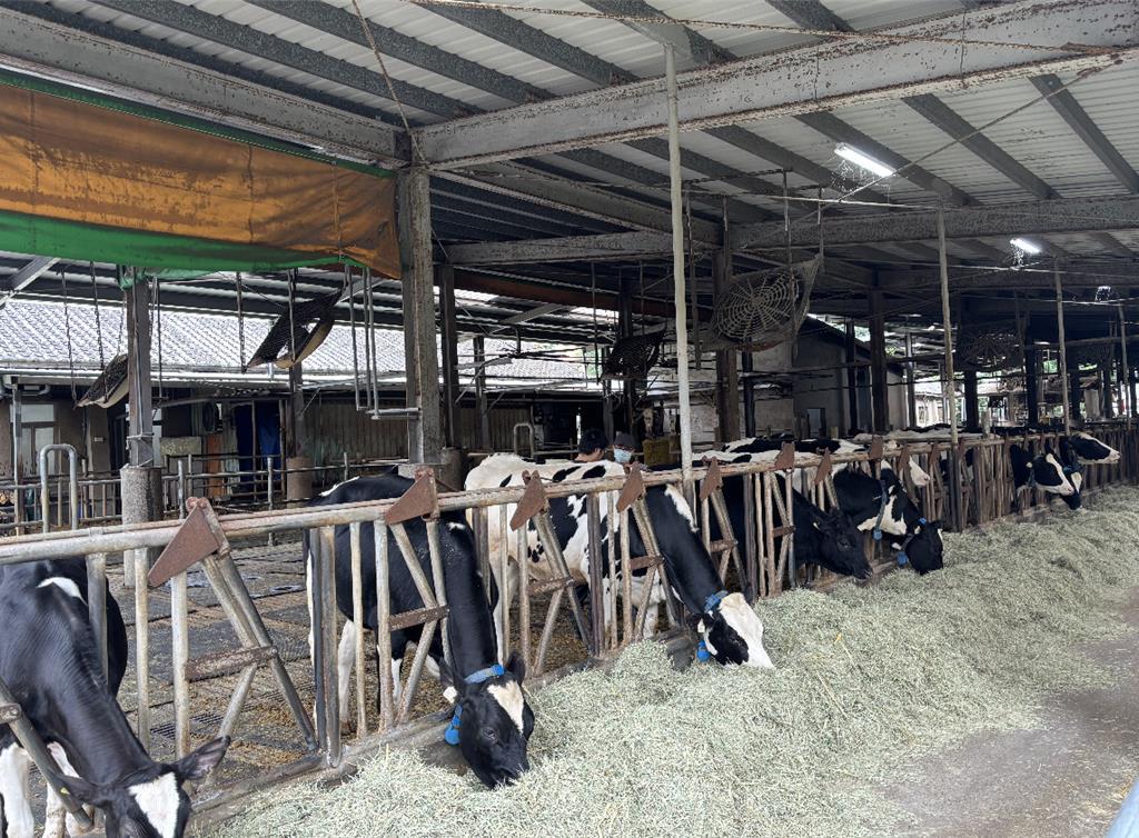 台大動科系注入「懂牛」的智慧 攜手研華科技打造本土化精準酪農數據平台