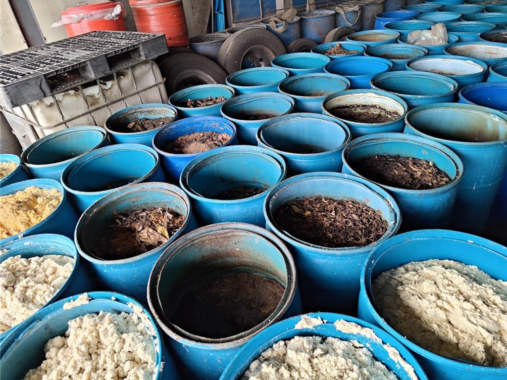 非法餵廚餘慘了!台南畜牧場遭重罰20.6萬