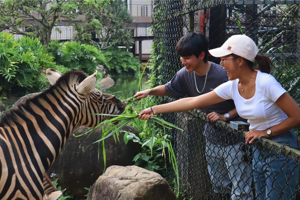 名字中有「馬」 入住關西六福莊優惠一籮筐