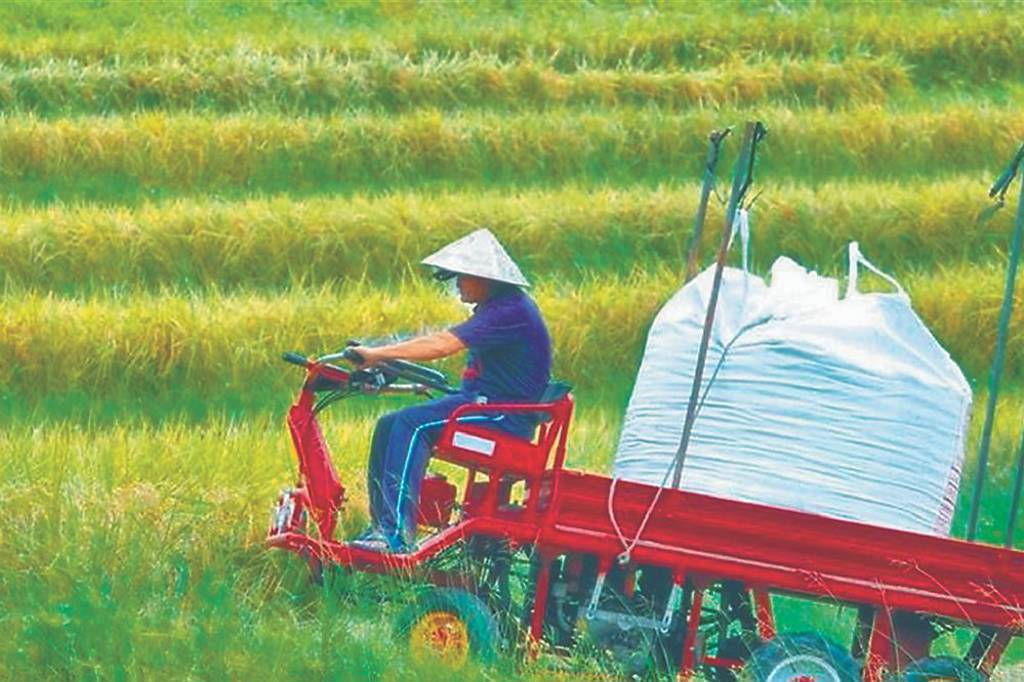 農保去年前11月賠款率飆