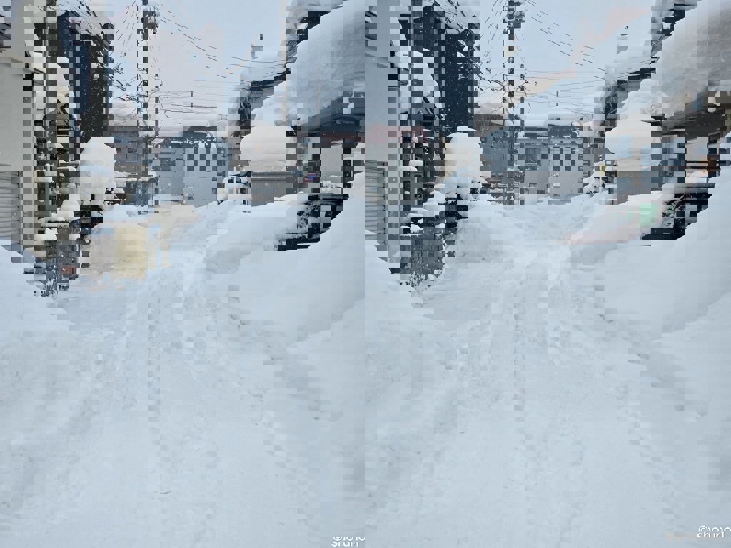 日本青森雪災奪命!積雪達178公分 多人遭活埋