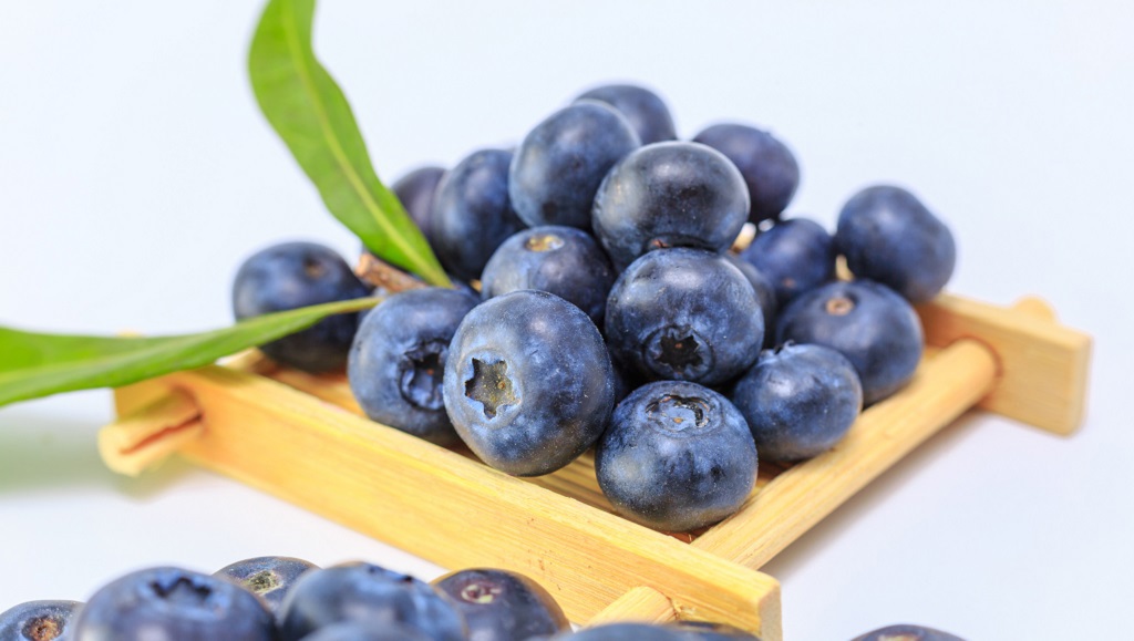 藍莓營養價值高!營養師提醒三類族群食用需注意