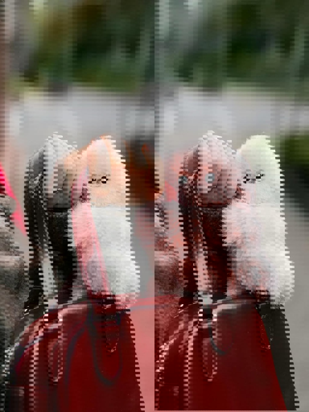 從Labubu到Mirumi 「療癒經濟」扛起上千億美元市場 背後推手是這些人