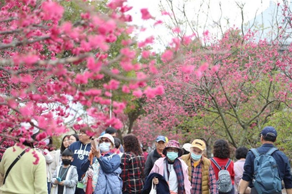 228連假賞櫻好去處 中科后里園區打造綠色春日饗宴