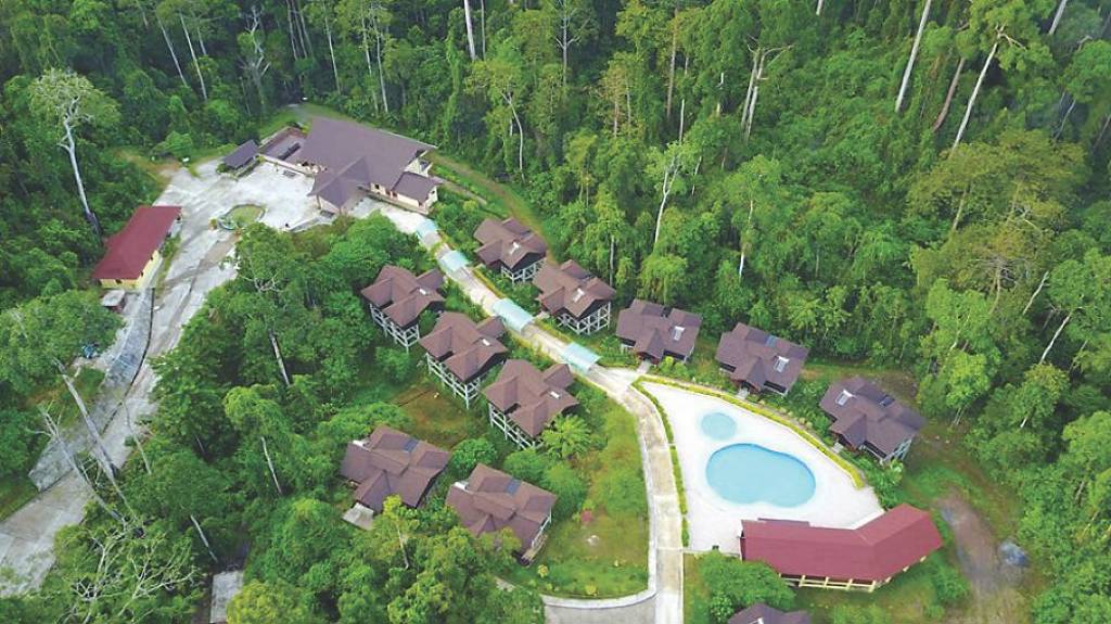 馬來西亞三大雨林秘境 吸客