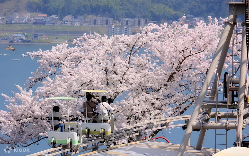 Klook推日韓賞櫻88折 助旅客輕鬆從都市玩到郊區