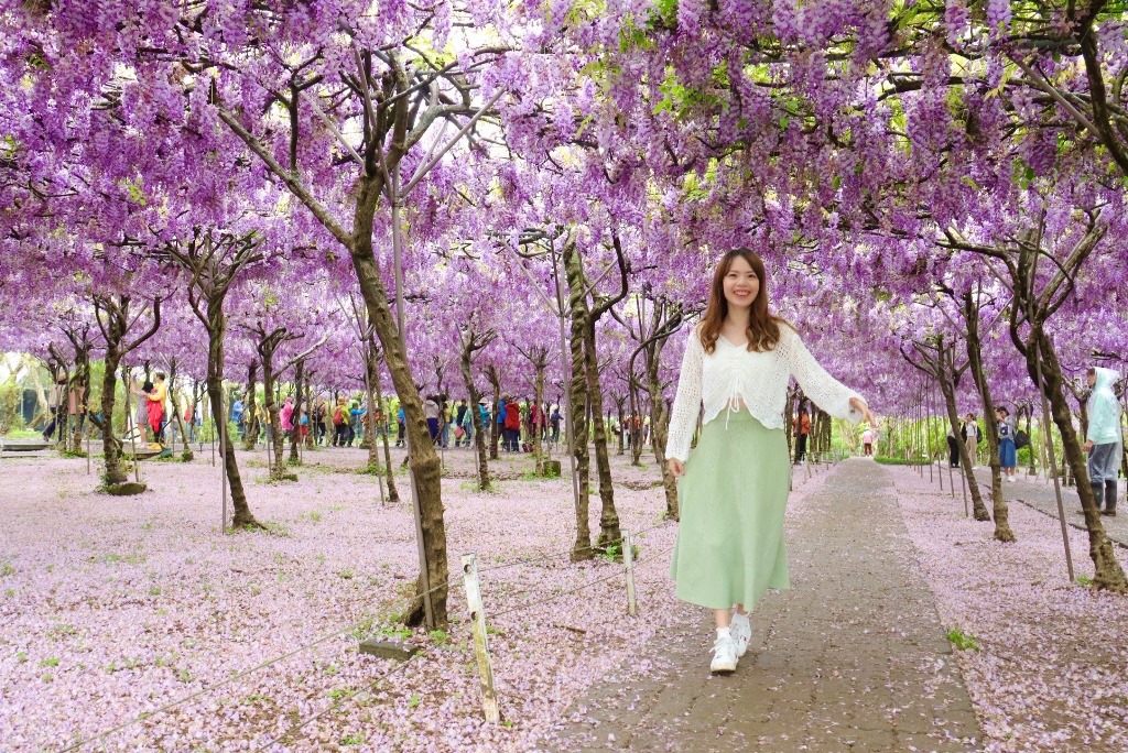 跟著福容追花趣兩人同行2,250元起 春遊賞櫻泡湯一次滿足