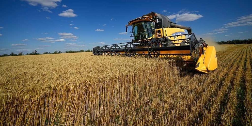 戰火衝擊肥料斷鏈 UN示警數周內全球糧食供應拉警報