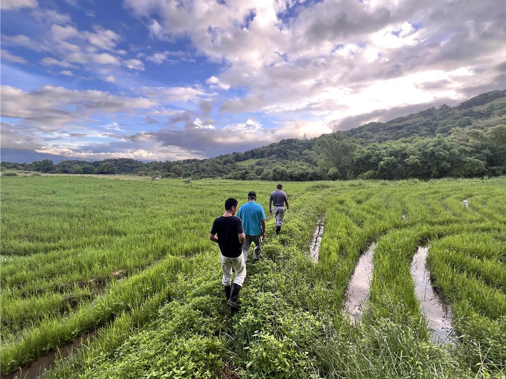臺灣首批保育共生地出爐 62處場域實踐人與自然和諧共生