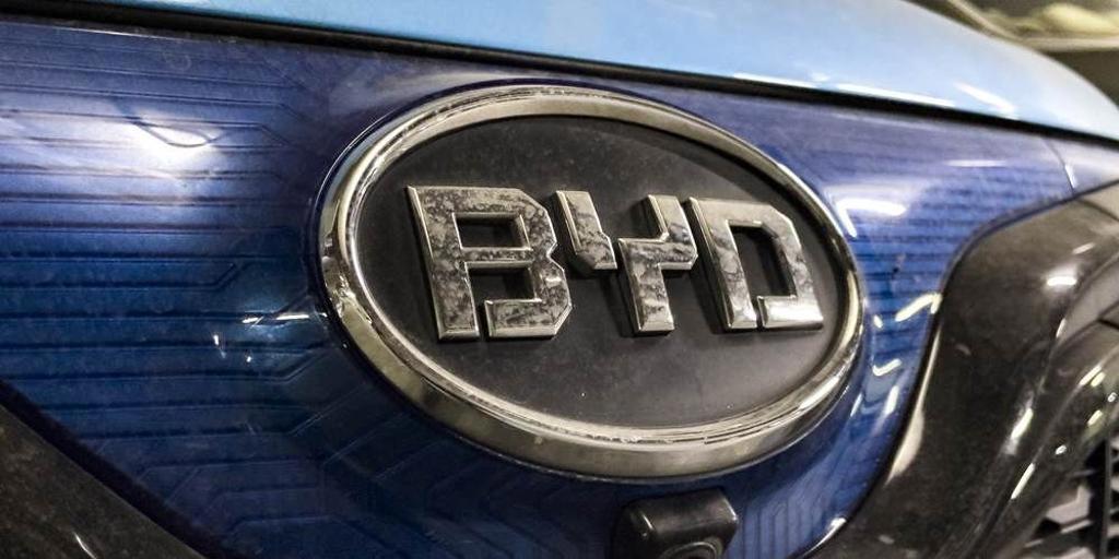 比亞迪再現「增收不增利」 王傳福:產業正在經歷淘汰賽