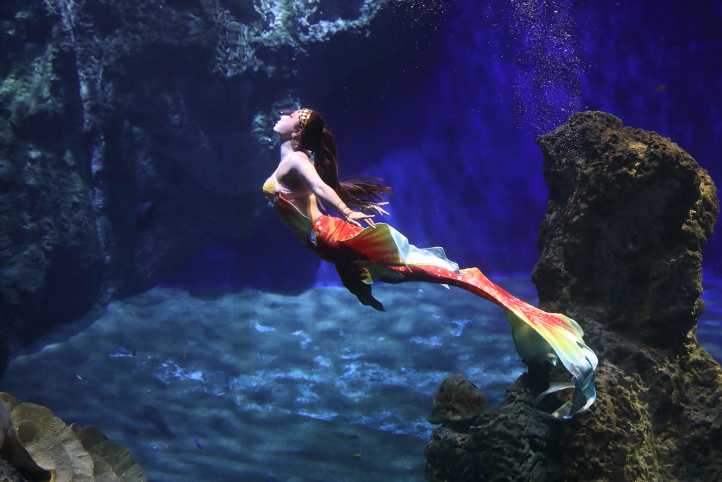 春日親子總動員 花蓮三大品牌聯手迎連假 花園鰻主題房吸睛登場 動物派對串聯住玩全體驗