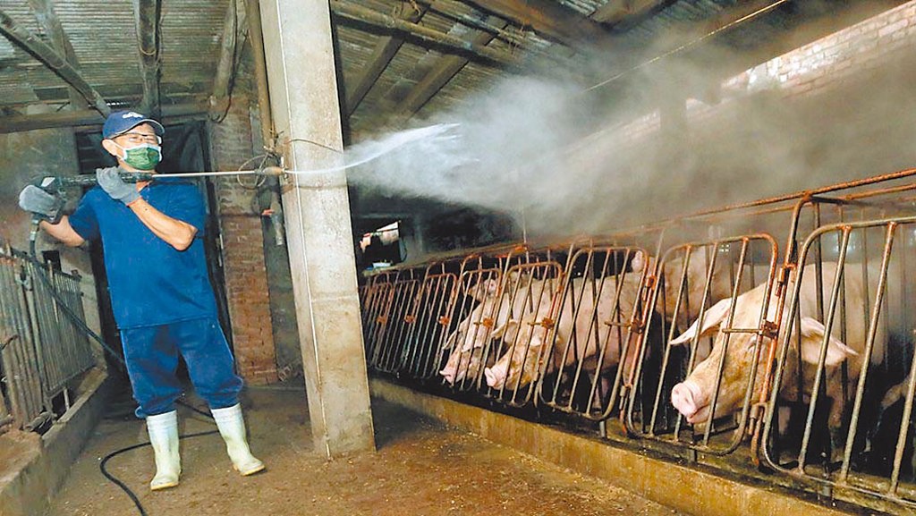 WOAH核可 台灣重返非洲豬瘟非疫國