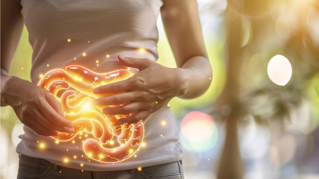 【腸道科學】阿茲海默症源頭可能在腸道?醫揭「發炎老化」真相