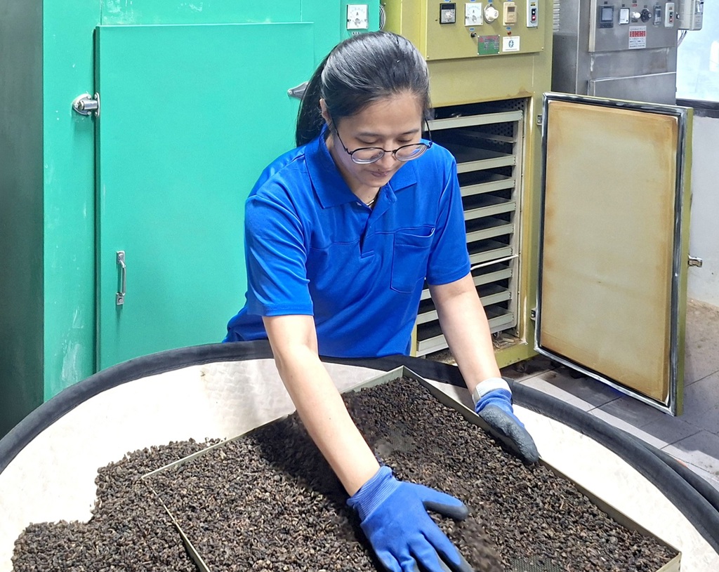木柵鐵觀音賽女力崛起 首度父女接力勇奪特等獎
