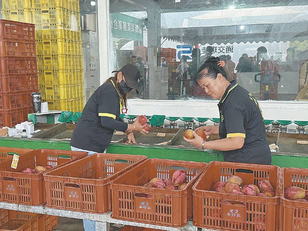 穩定民生物價 韓延長對台水果優惠關稅