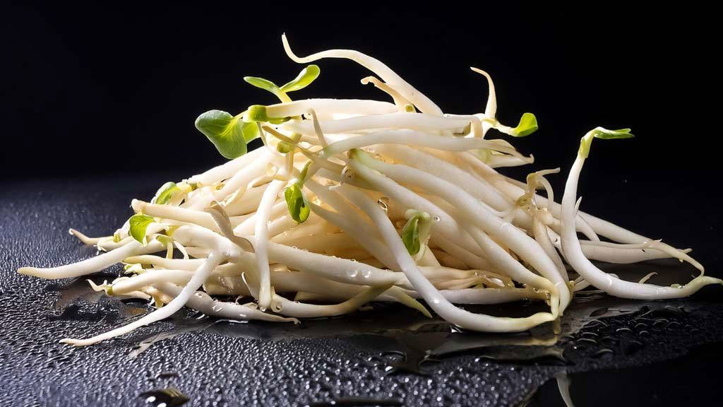 豆芽菜冷藏、冷凍保鮮術,聰明保存吃更久