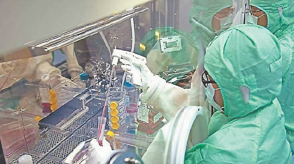 資金轉向 醫療生技題材吸睛