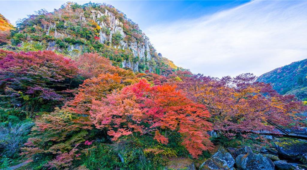 旅天下夏季旅展起跑 秋冬賞楓戲雪優惠多、揪團最高現折1萬5