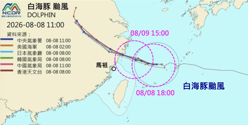 白海豚颱風影響大 首度網路降速演練恐被攪局?