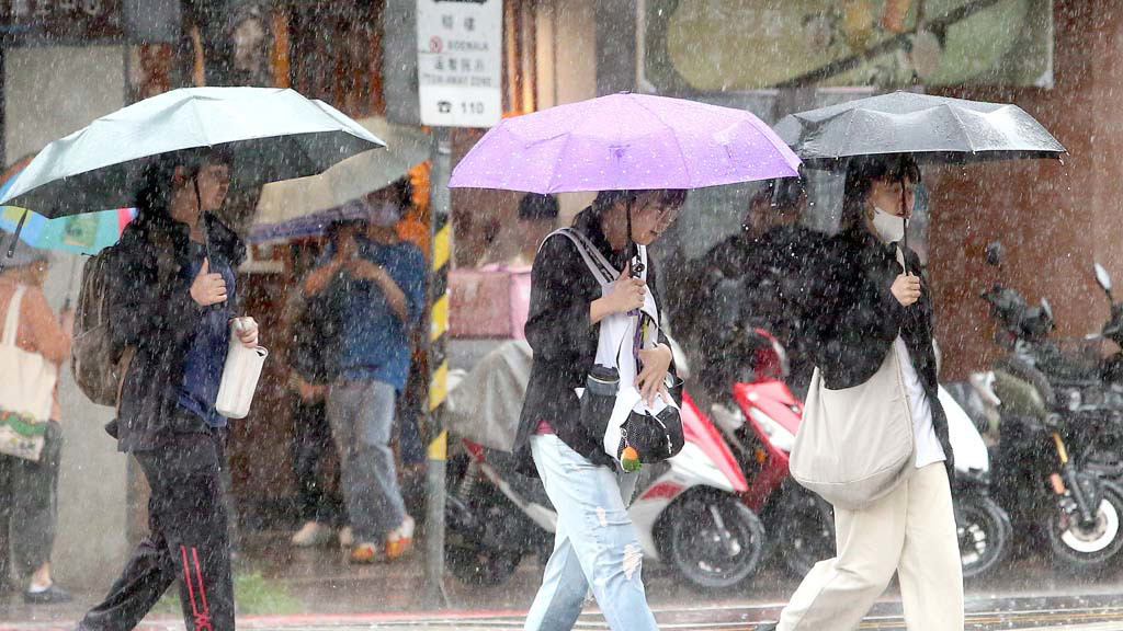 颱風白海豚漸離仍影響海運 10日8航線72航次停航