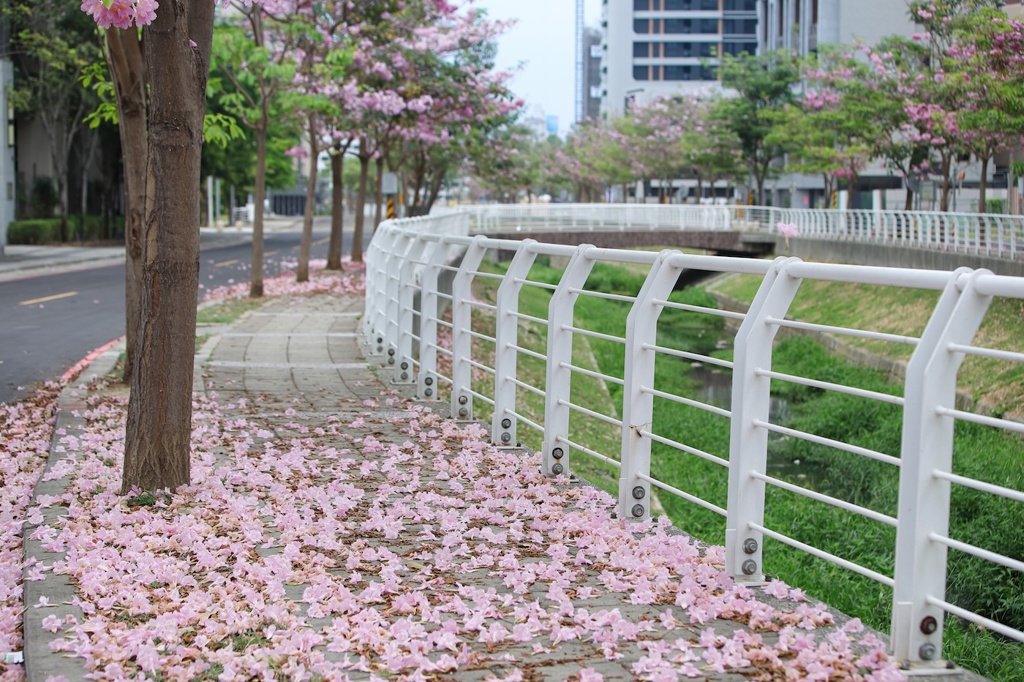 股市資金轉向房市?「多城市II」29.8萬起吸引北高雄購屋族