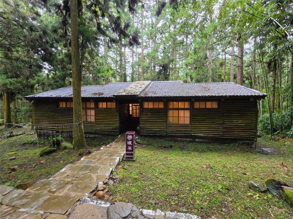 不是住飯店 是住進森林裡!溪頭青年活動中心打造高CP值森林假期
