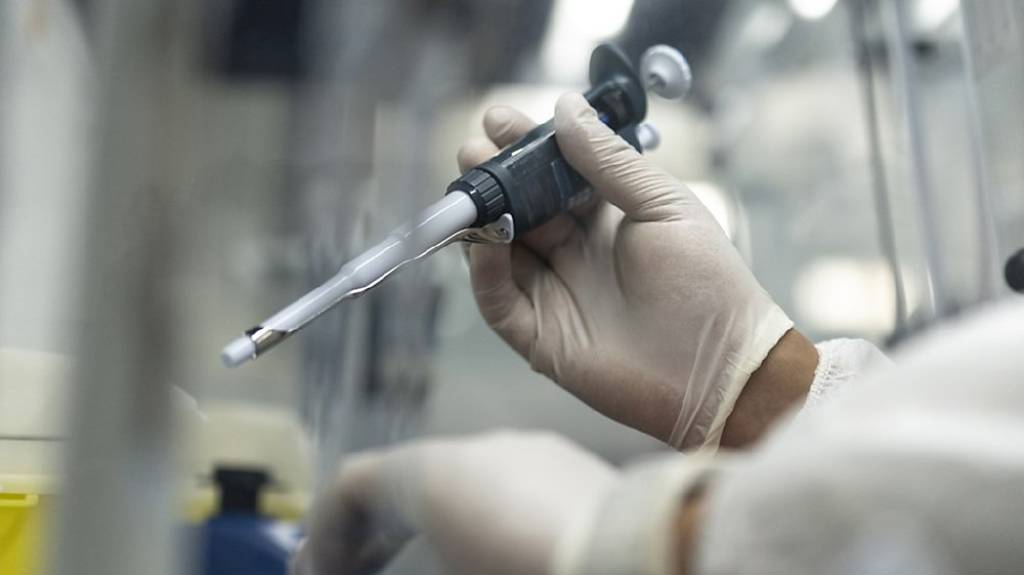 共信寵物腫瘤消融新藥 審查通過