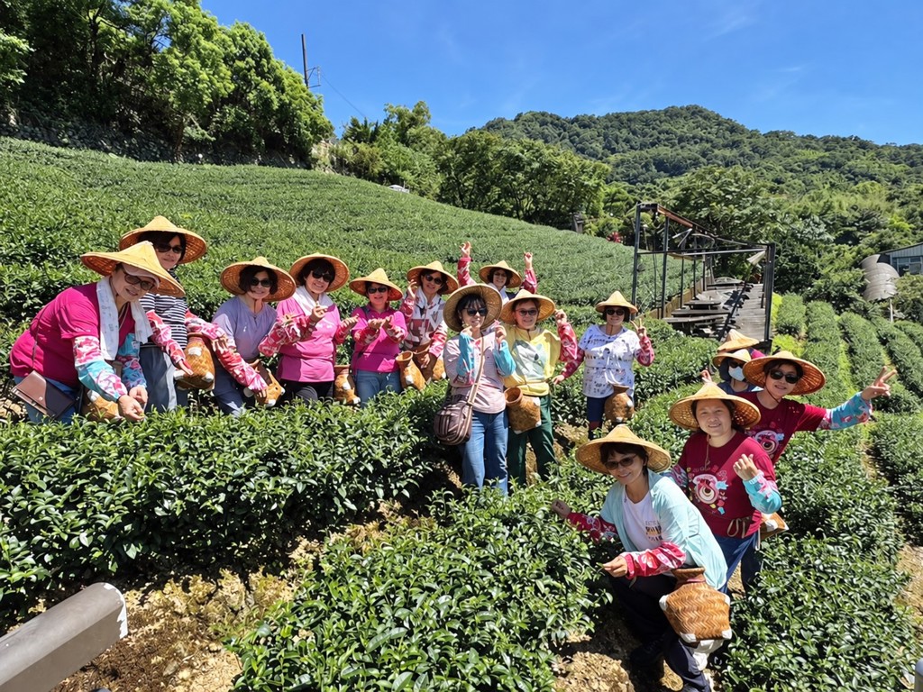 茶筍輕旅行走進木柵產地 規劃4條路線體驗農村生活