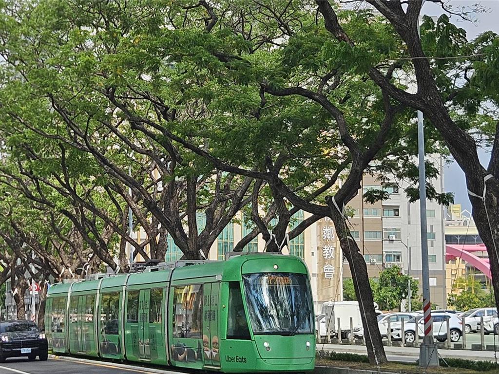 從工程護樹到科技監測 高市捷運局持續守護輕軌綠色廊道